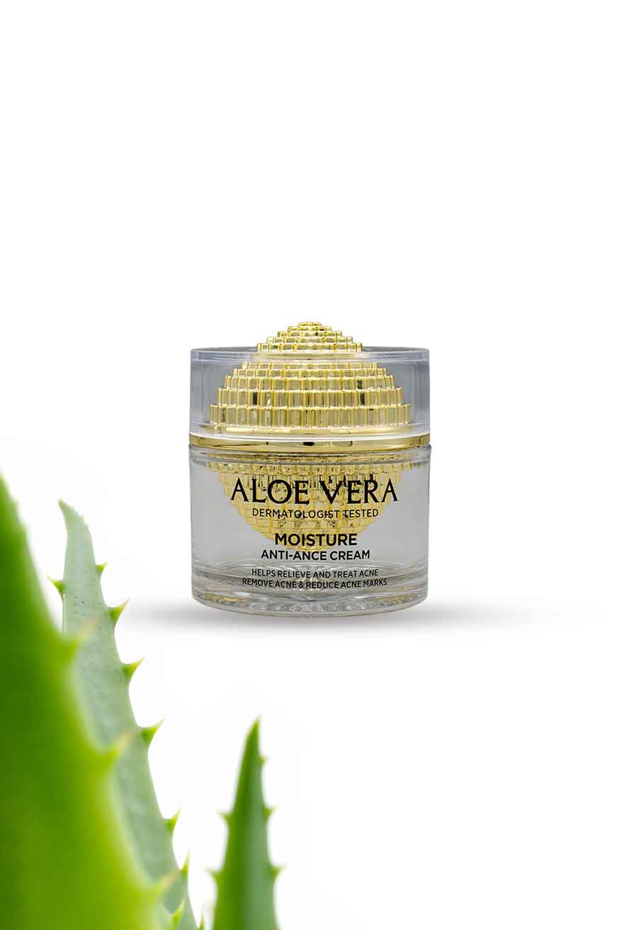 Wokali Aloe Vera Acne Control Anti Acne Cream 60g Moisture Cream